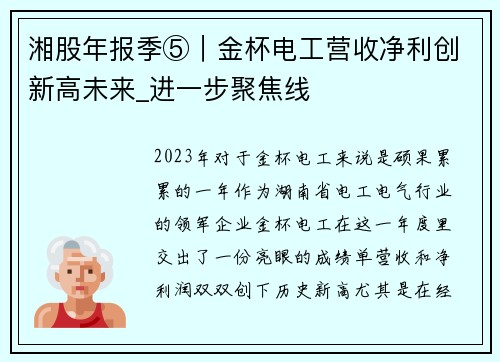 湘股年报季⑤｜金杯电工营收净利创新高未来_进一步聚焦线