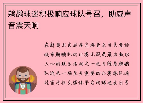 鹈鹕球迷积极响应球队号召，助威声音震天响