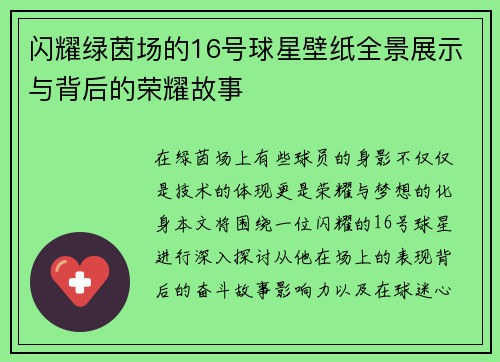 闪耀绿茵场的16号球星壁纸全景展示与背后的荣耀故事