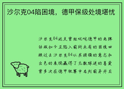 沙尔克04陷困境，德甲保级处境堪忧